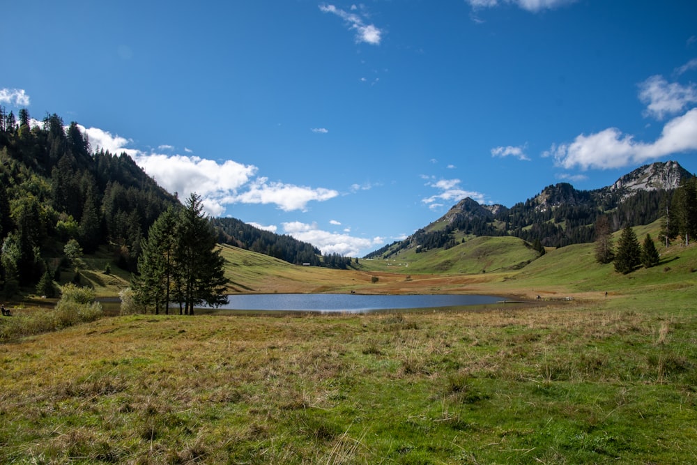 green grass field near mountain under blue sky during daytime