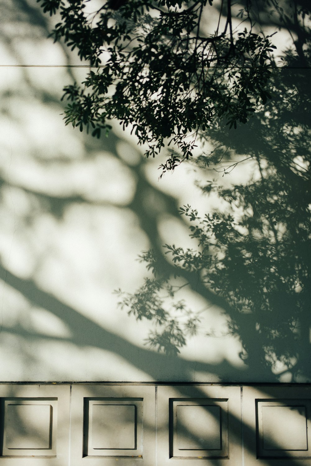 grüner Baum unter blauem Himmel tagsüber