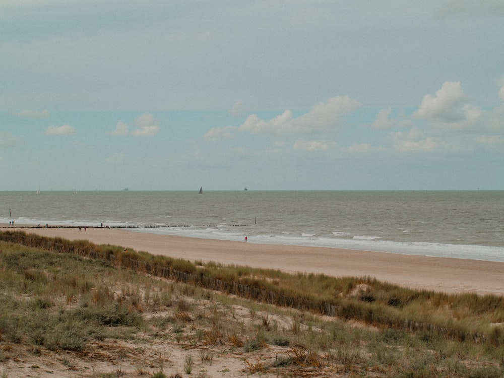 brown grass field near sea under white clouds during daytime