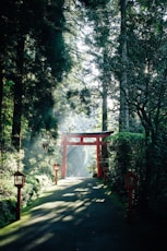 red wooden cross on gray concrete pathway between green trees during daytime