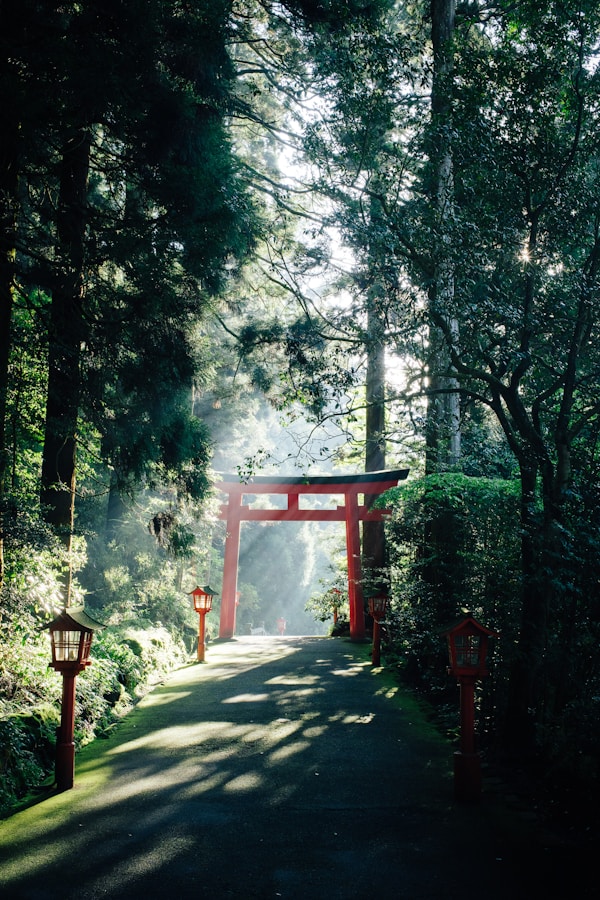Uncovering Hakone: Culture, Traditions, Festivals & More