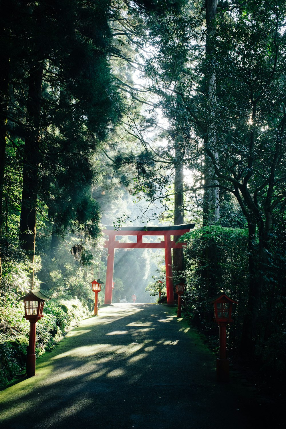 red wooden cross on gray concrete pathway between green trees during daytime