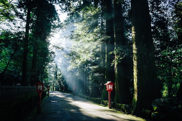 Best Weather for Visiting Hakone: Seasons & Ideal Months