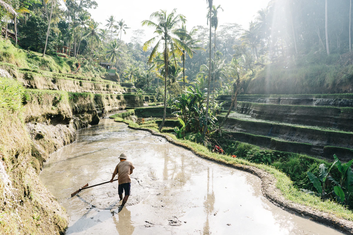Scenic highlights of Pasar Seni Ubud Morning Market & Balinese Offering Workshop in Sayan Ridge, Ubud