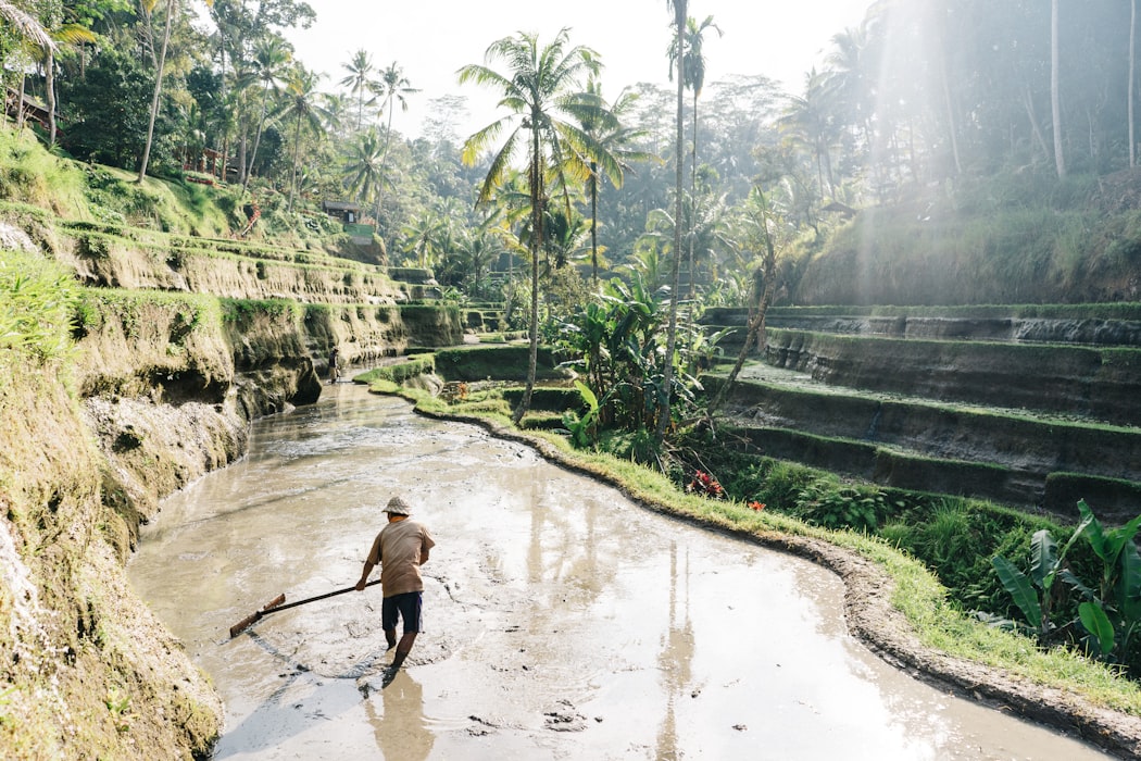 Best Places to Visit in Ubud