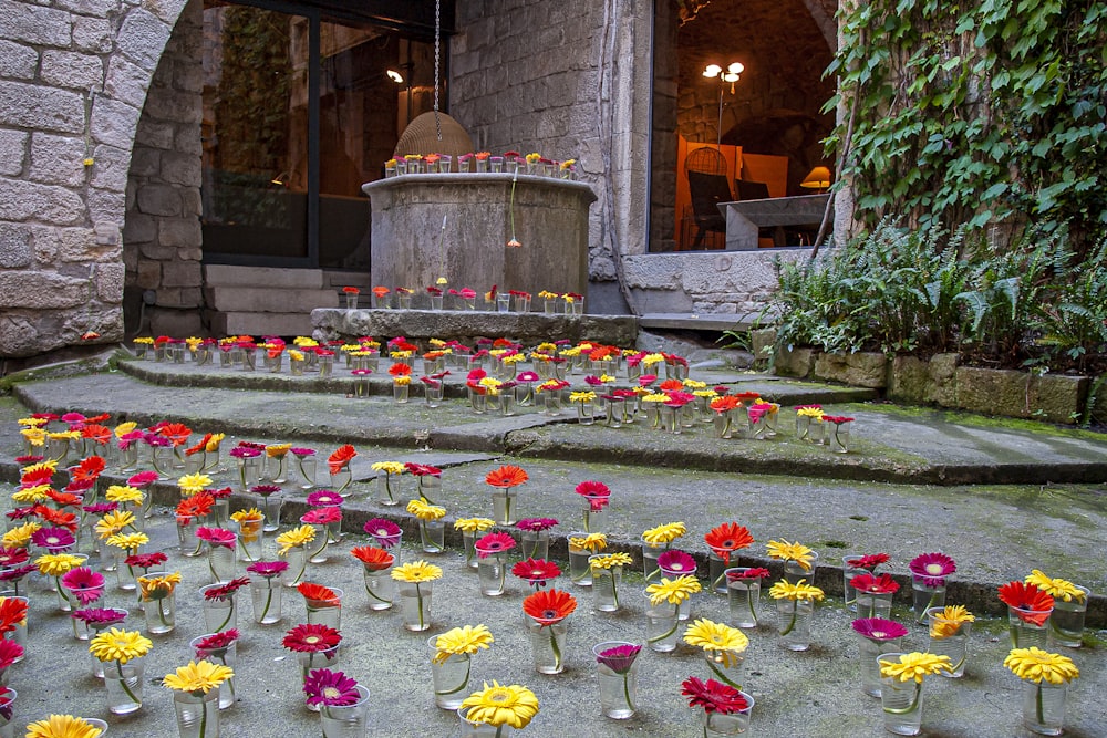 flores amarelas vermelhas e roxas no campo verde da grama