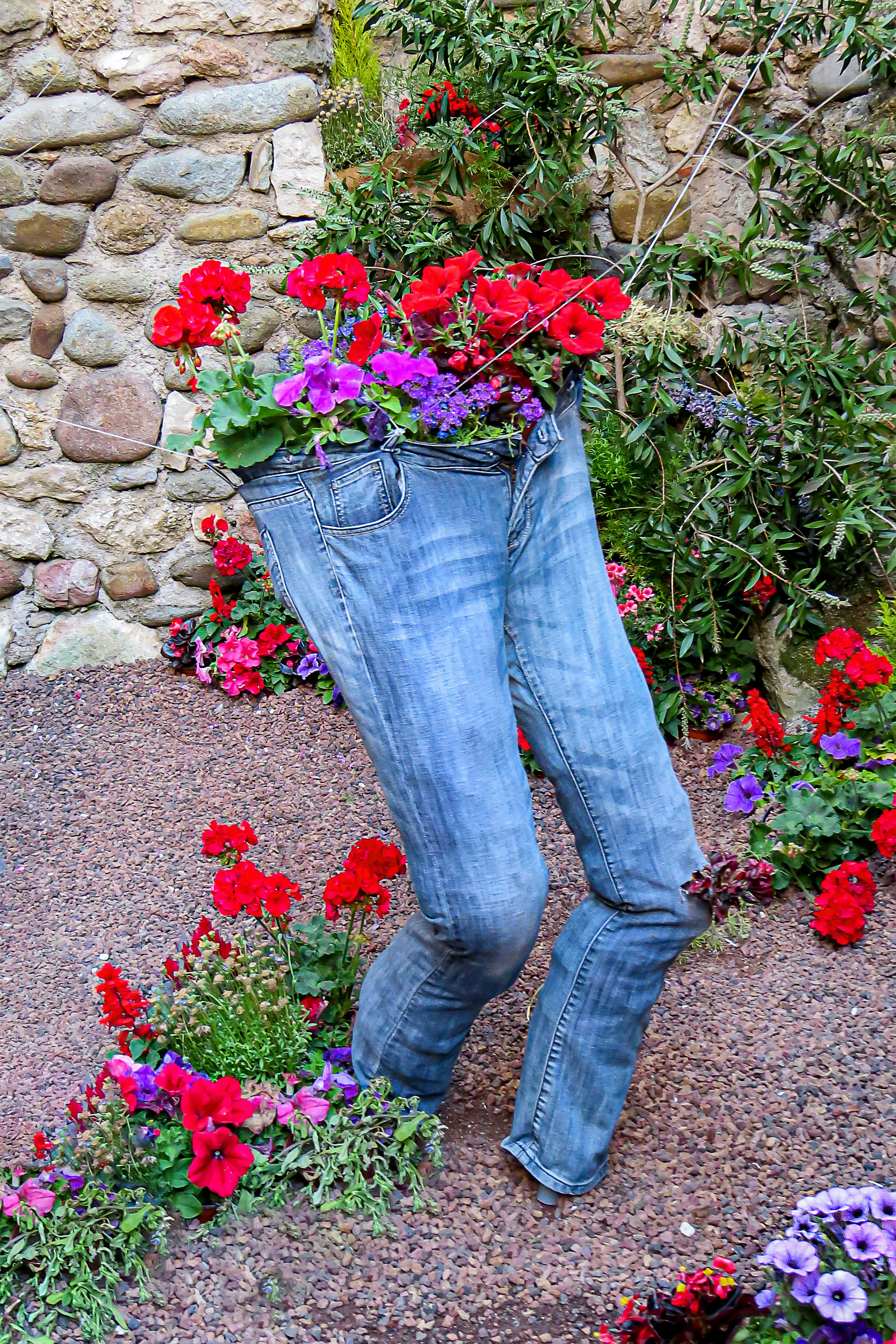 person in blue denim jeans standing on red flower field during daytime