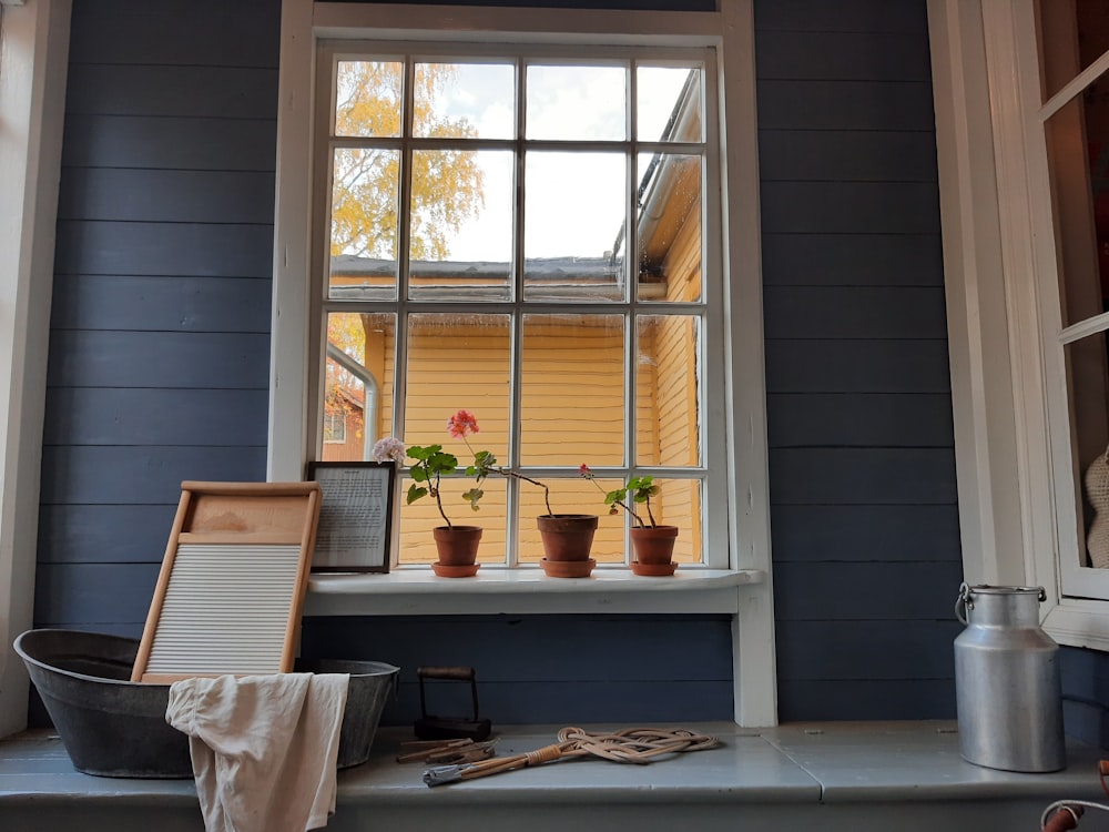 green potted plants on window