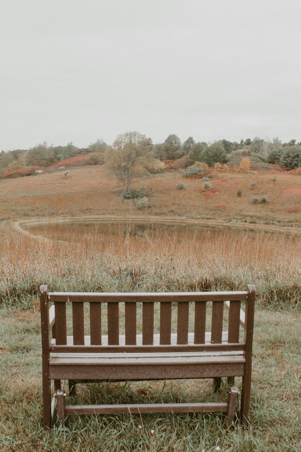 brown wooden bench on brown field during daytime