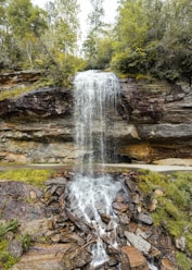 waterfalls in the middle of the forest during daytime
