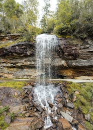waterfalls in the middle of the forest during daytime