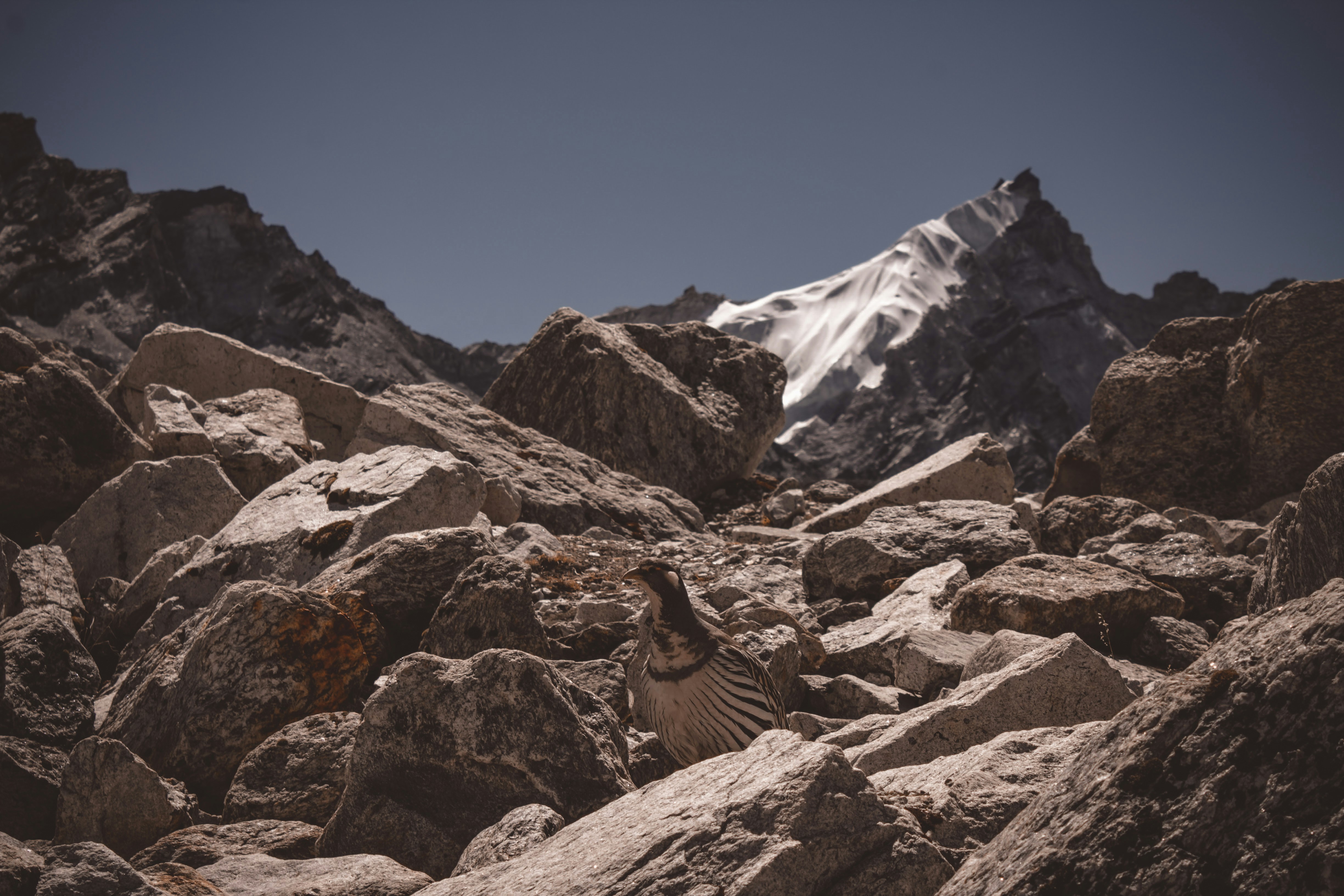 Photo by highwaypatrol_x