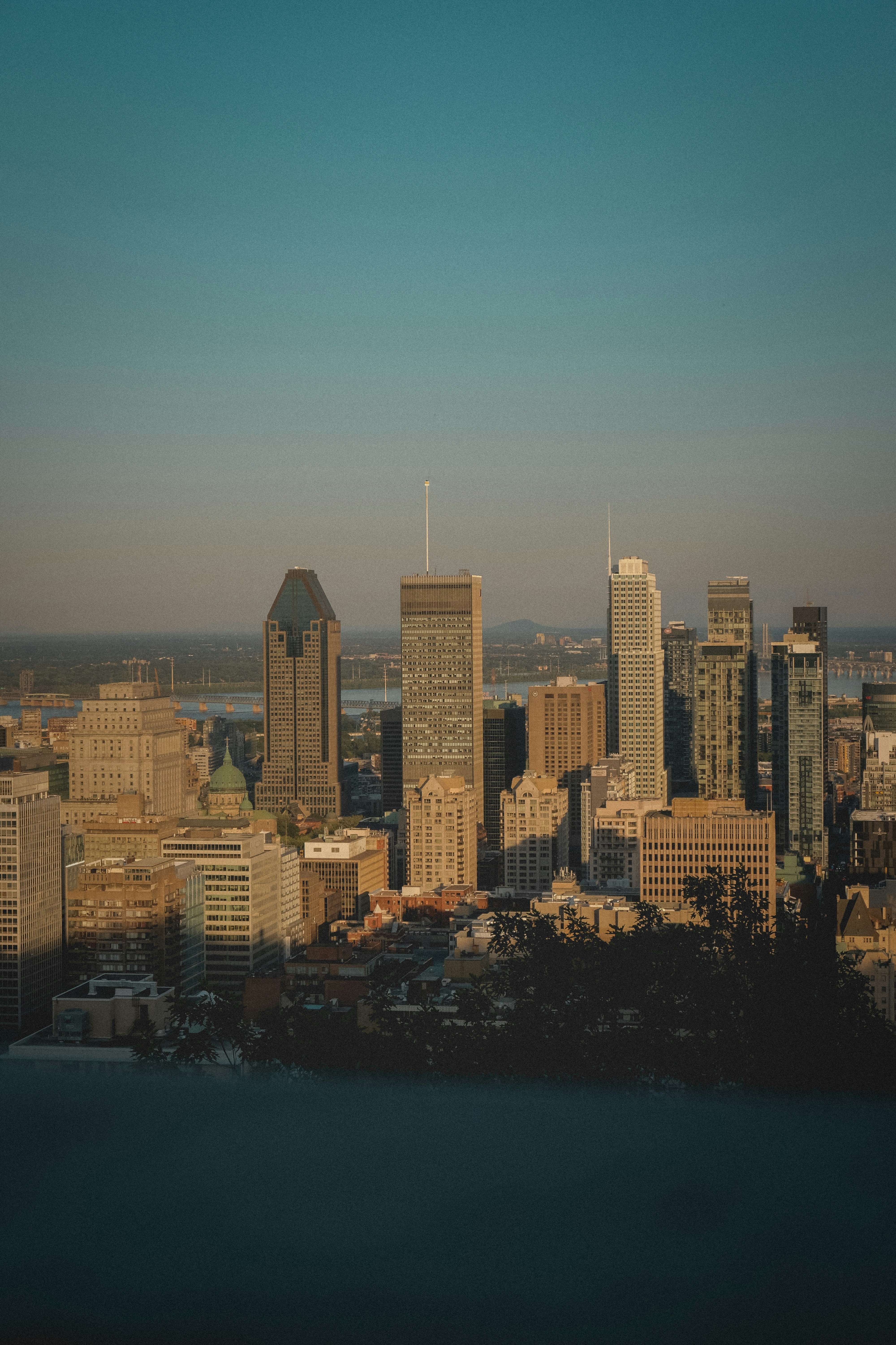 city skyline during night time