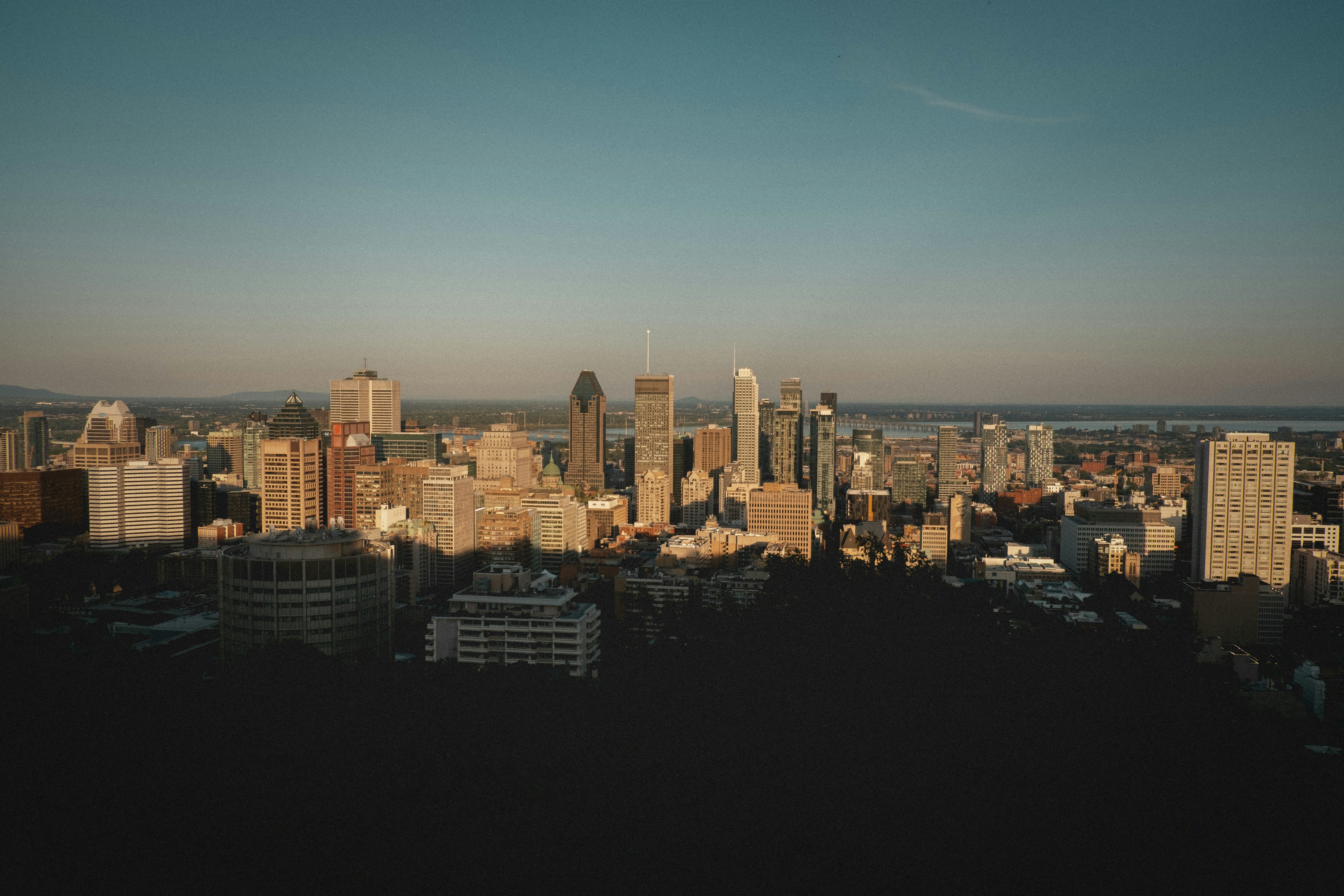city skyline under blue sky during daytime, 