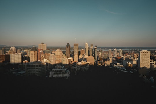 city skyline under blue sky during daytime in Plateau Mont-Royal Canada