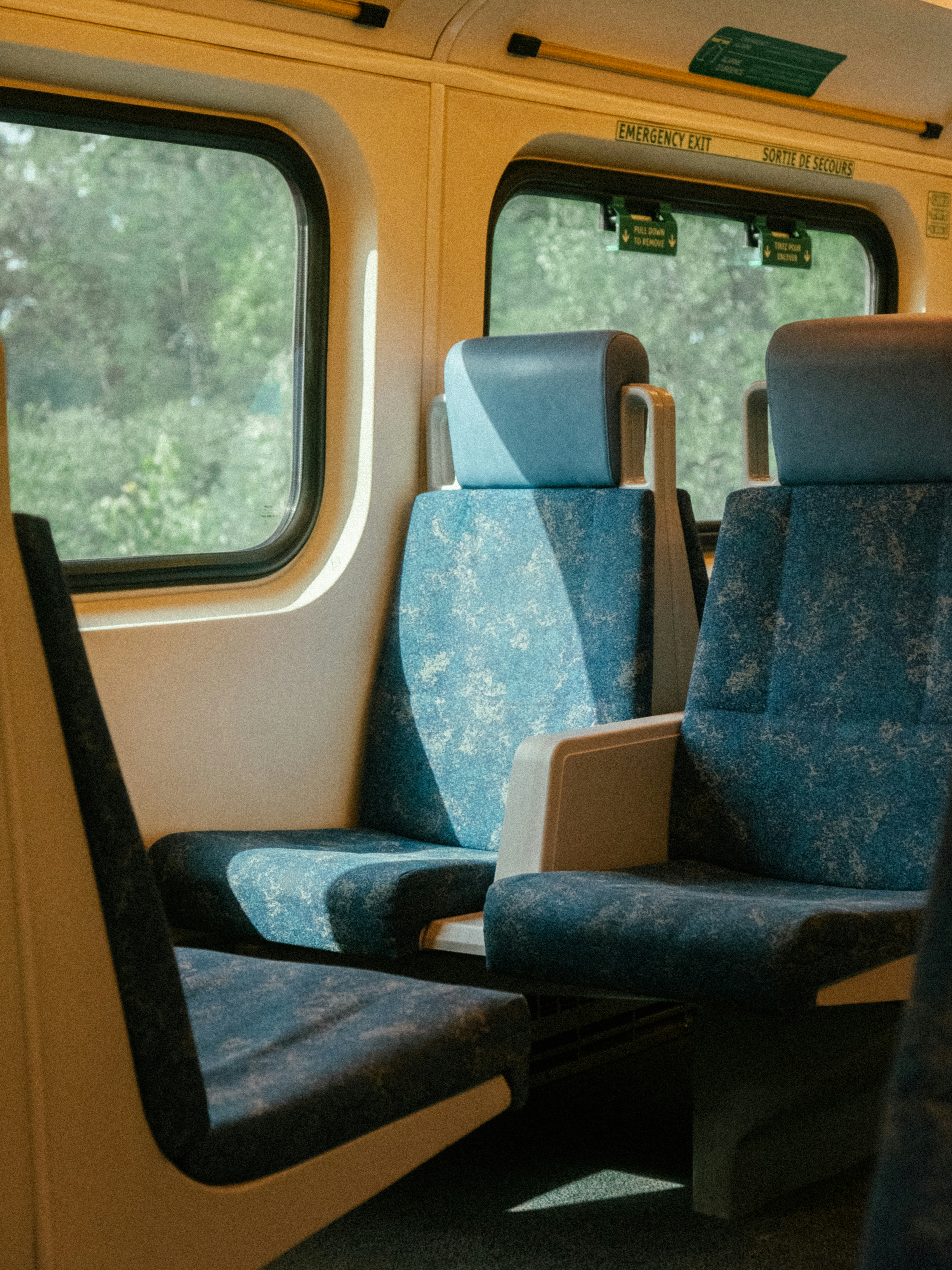 blue and brown bus seats