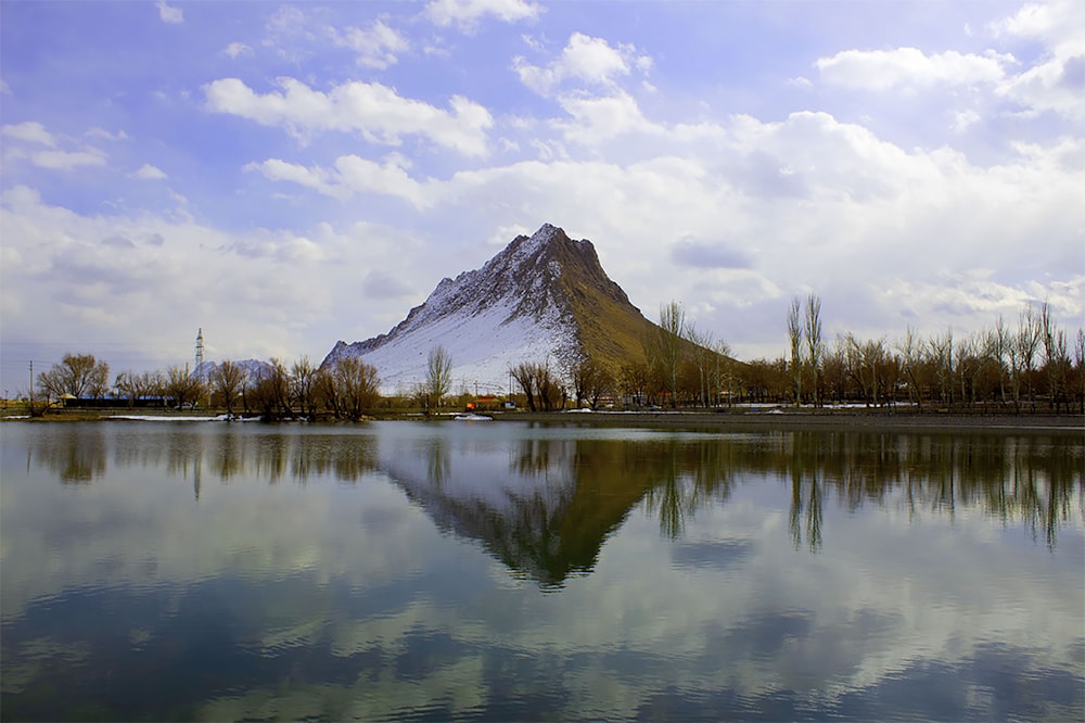 green trees near lake under white clouds and blue sky during daytime