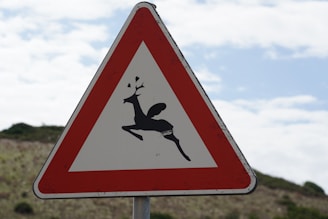 A triangular road sign with a red border and a black silhouette of a leaping deer, set against a background of a cloudy blue sky and a green landscape.