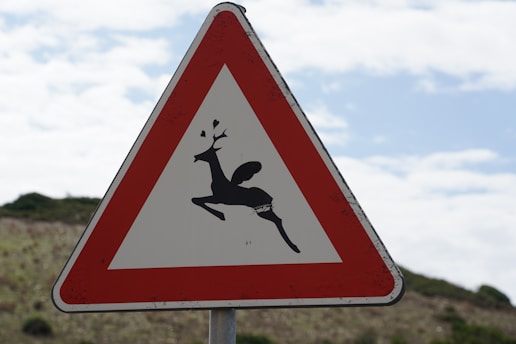 A triangular road sign with a red border and a black silhouette of a leaping deer, set against a background of a cloudy blue sky and a green landscape.