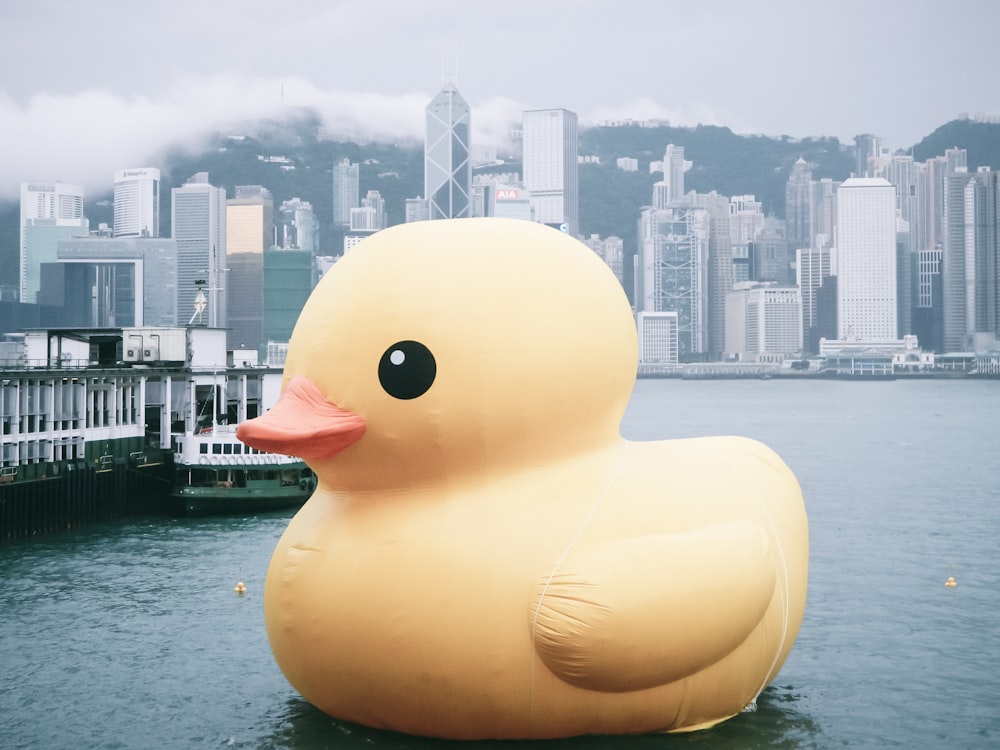 yellow duck on water near city buildings during daytime