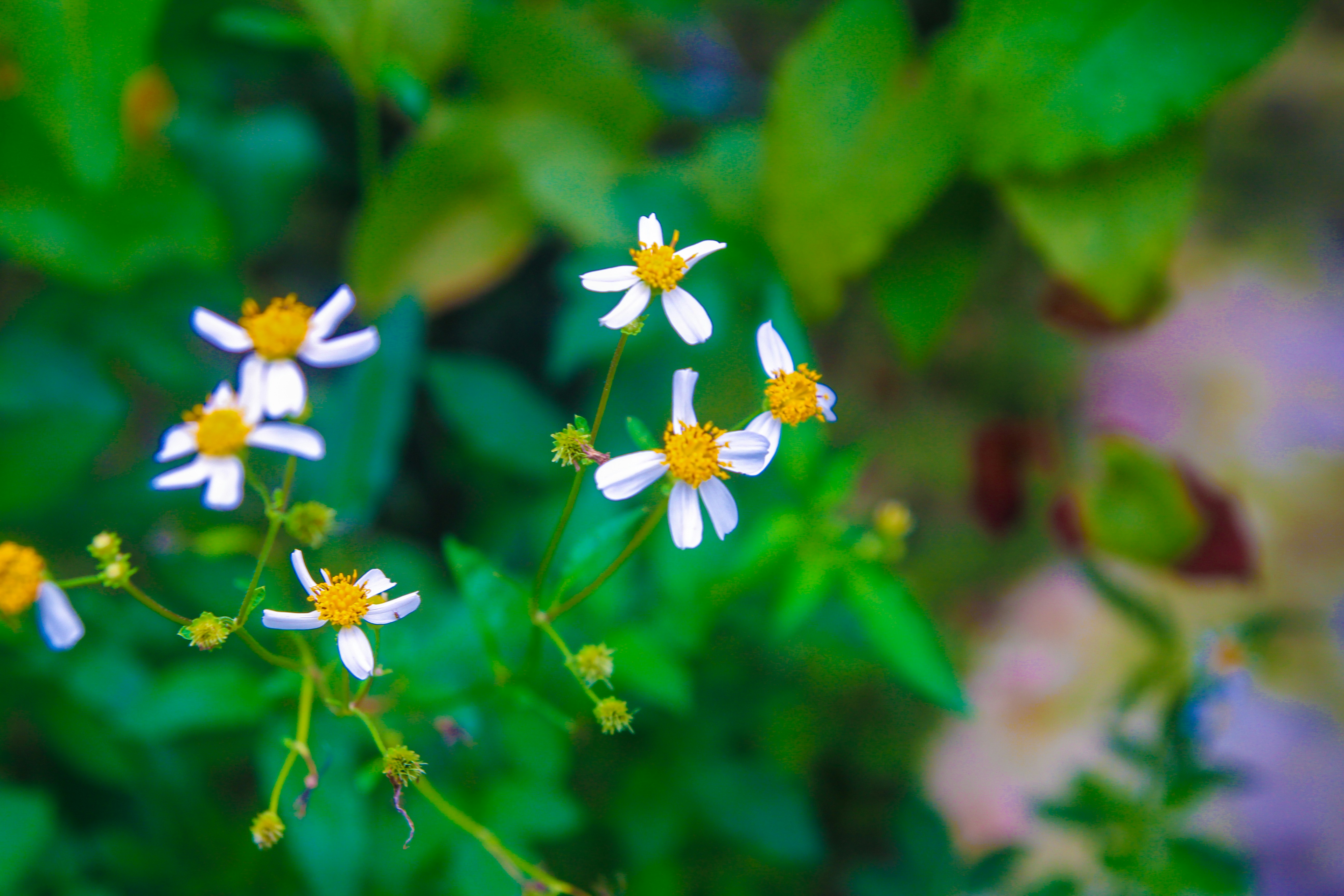 Photo by izdiharsahalan