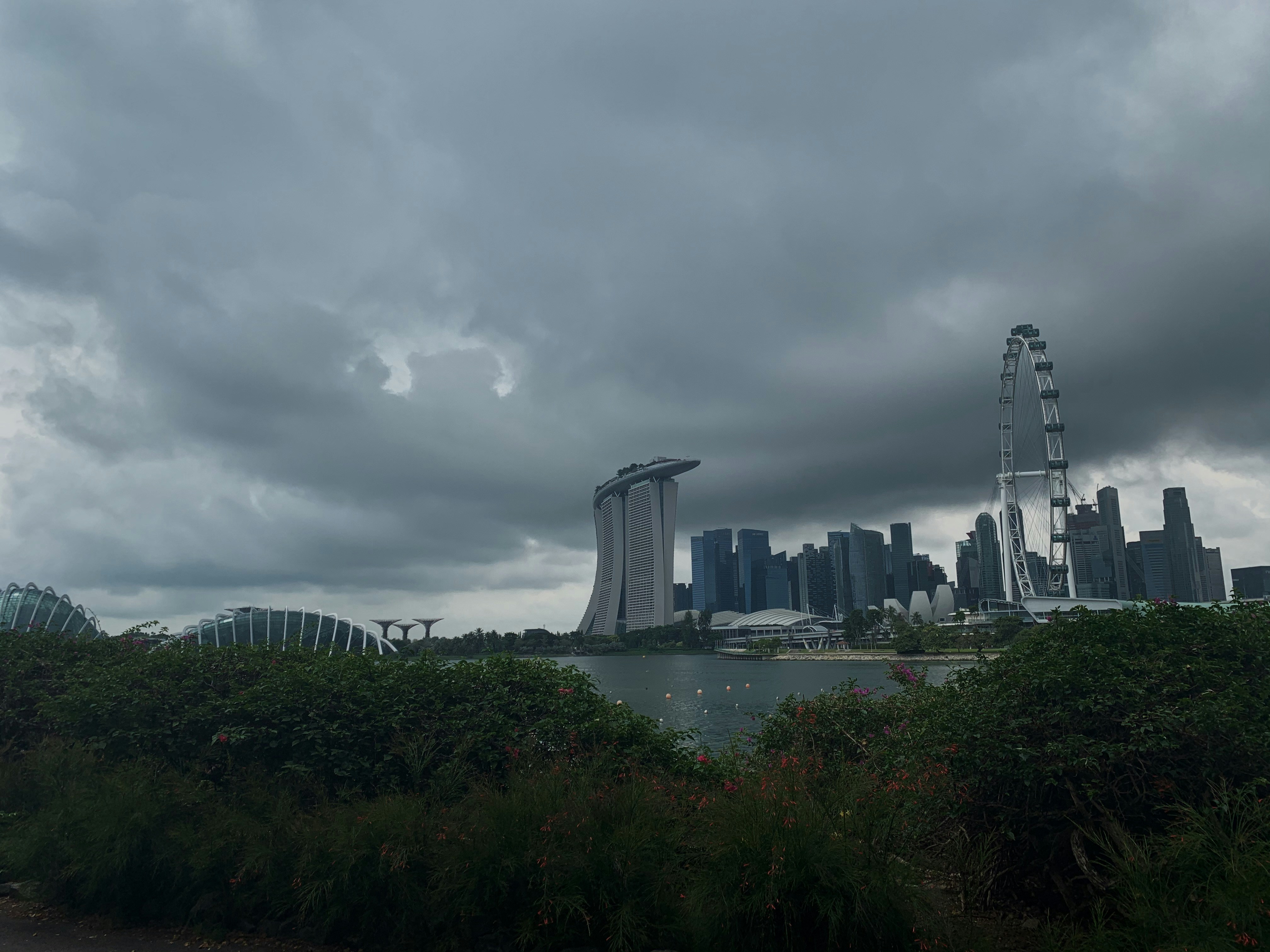green trees near body of water under cloudy sky during daytime