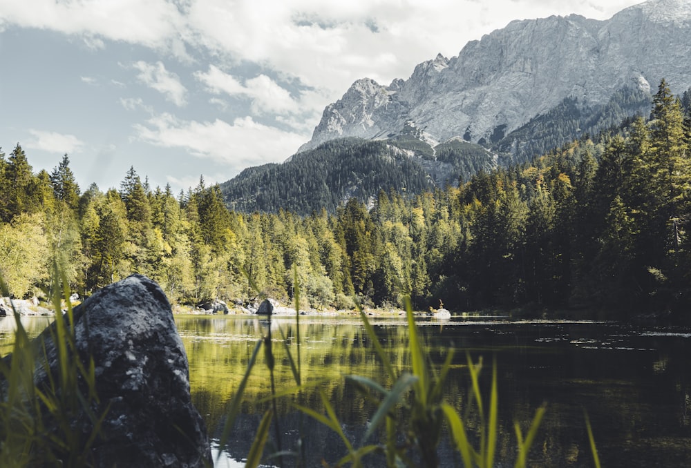 green pine trees near lake and mountain under white clouds during daytime