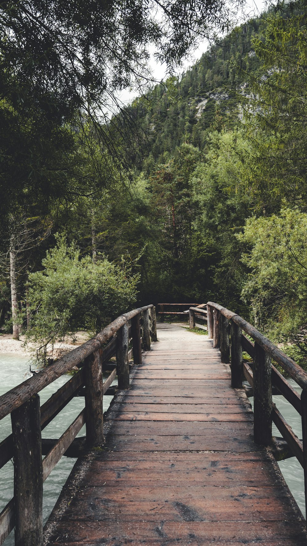 brown wooden bridge over river