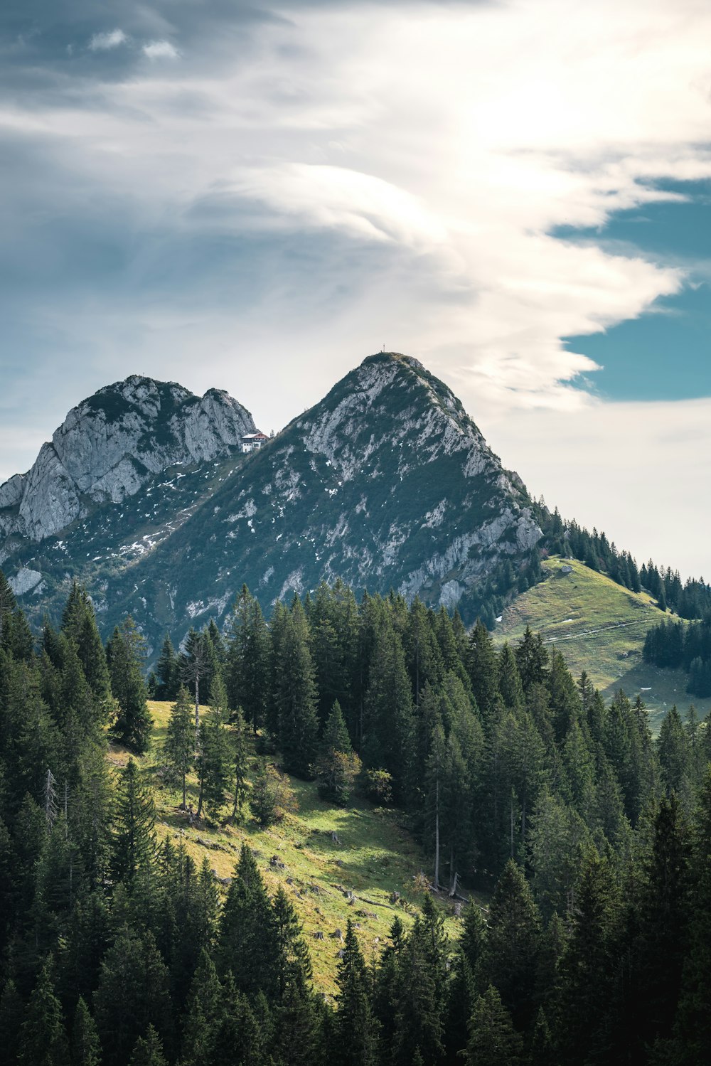 green pine trees near mountain under white clouds during daytime