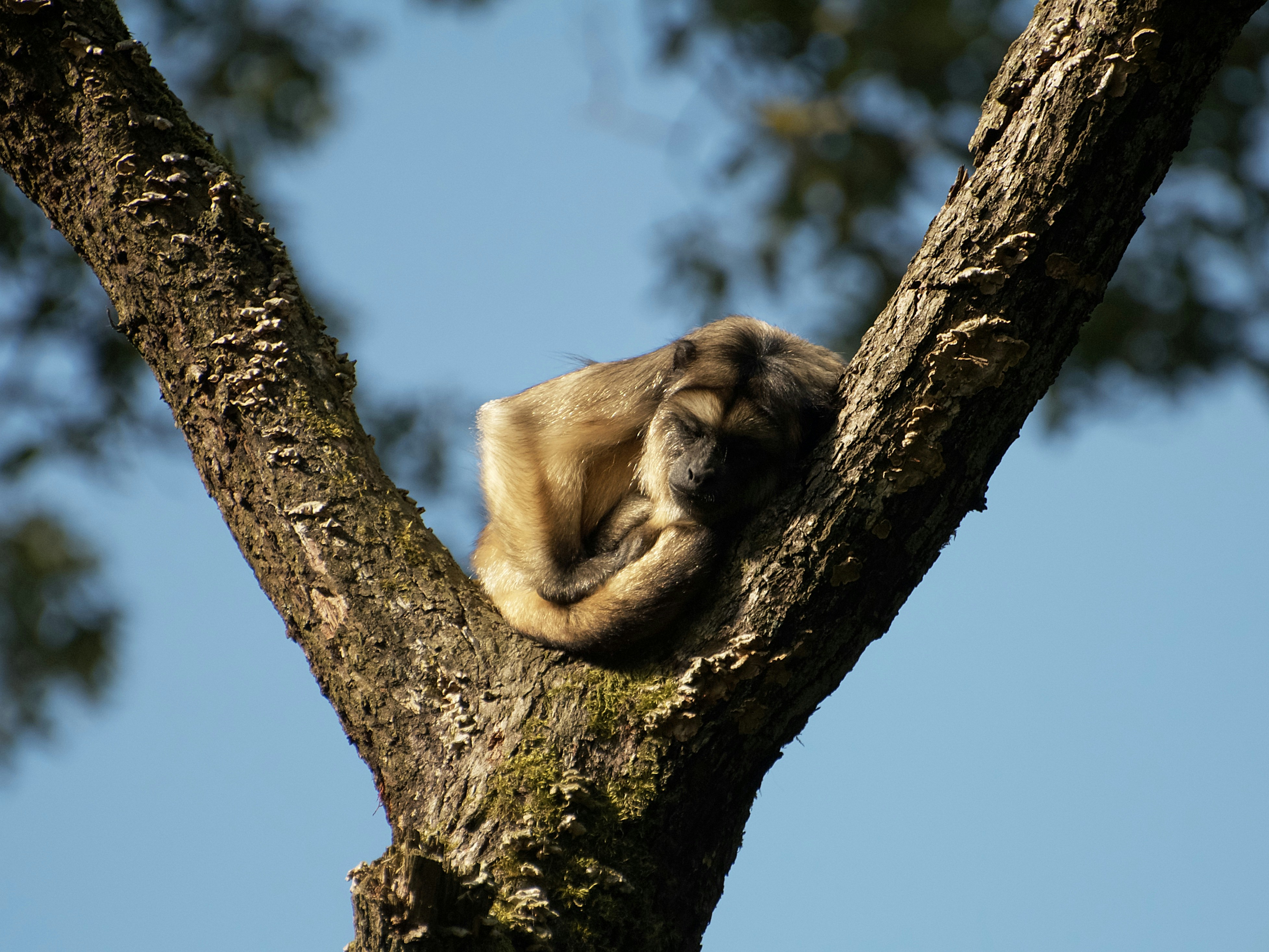 Photo by sinusfiction