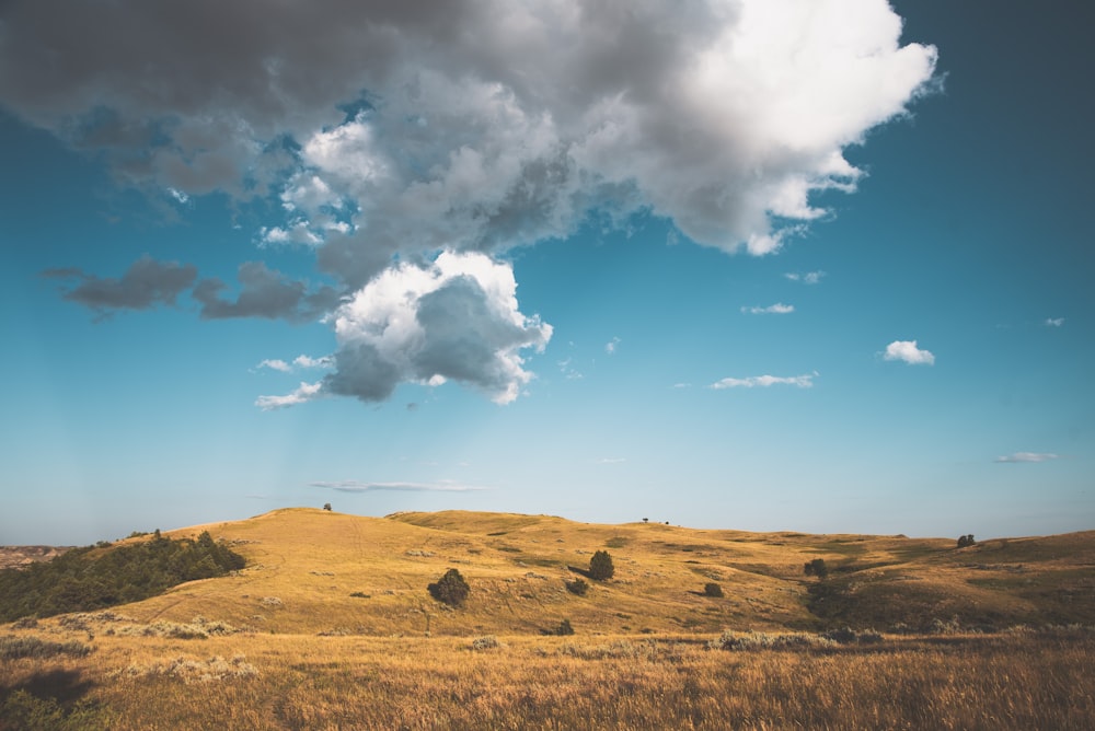 campo de grama marrom sob céu azul e nuvens brancas durante o dia