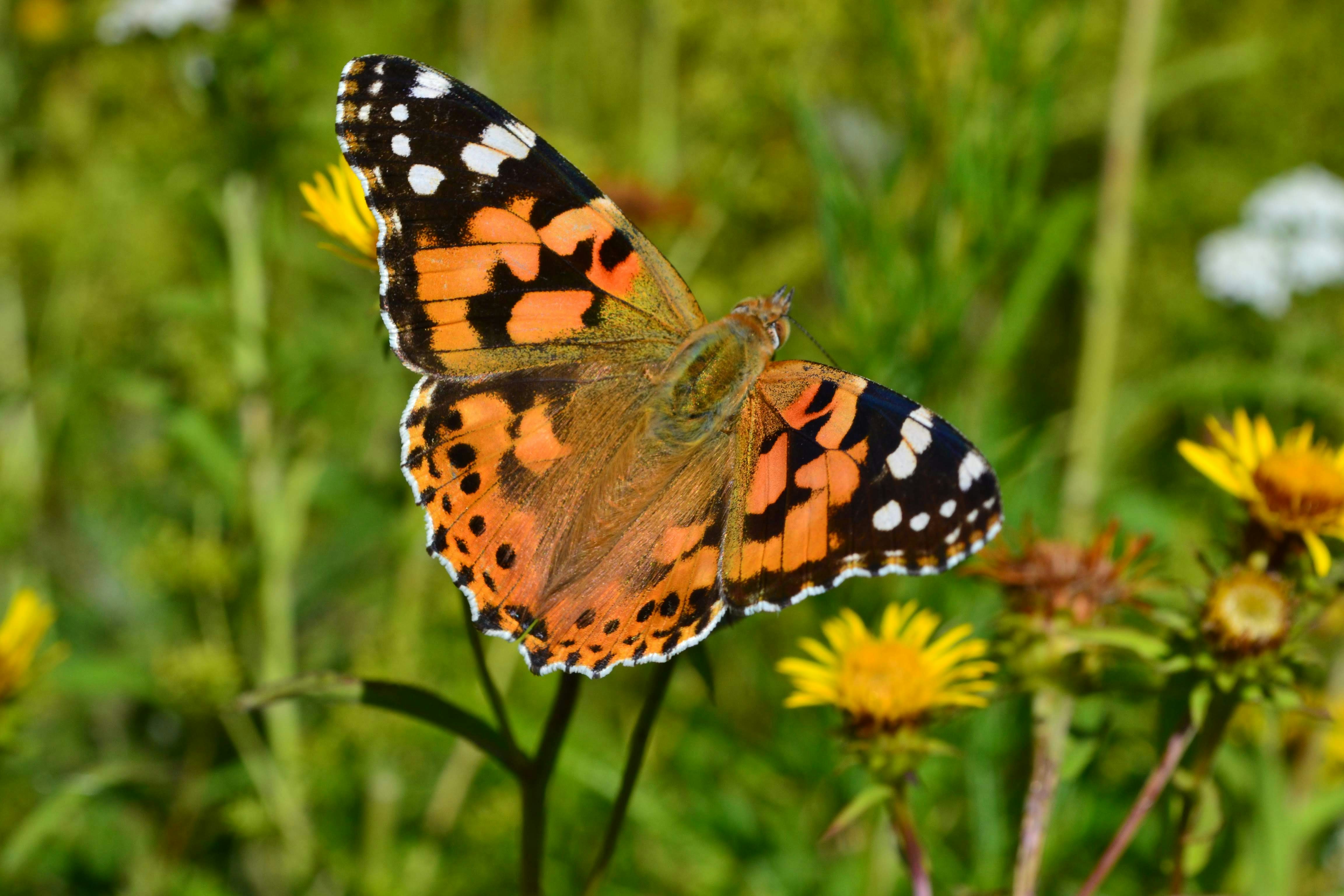 Photo by eugenegrunge