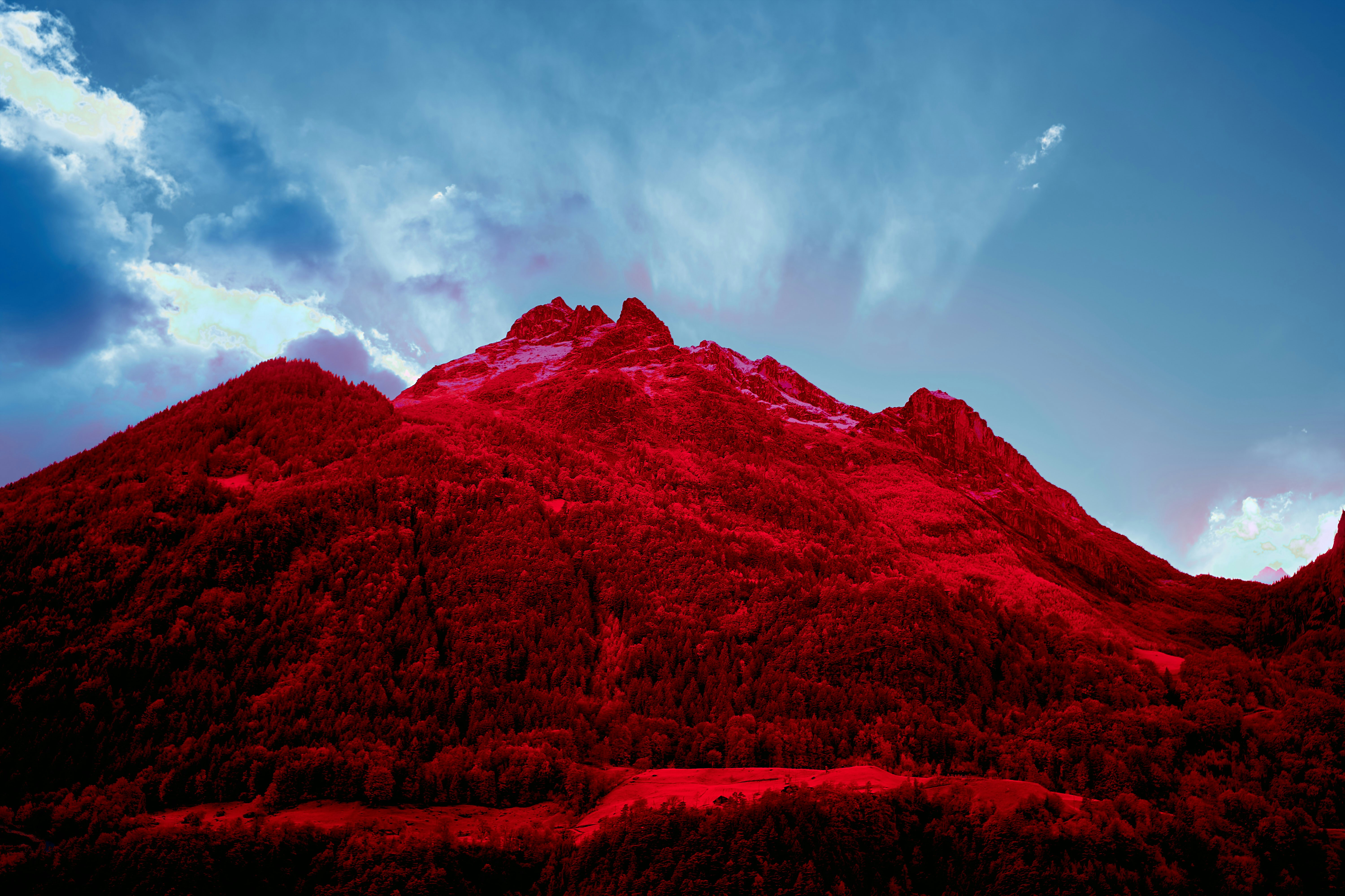 Photo by wolfgang_hasselmann