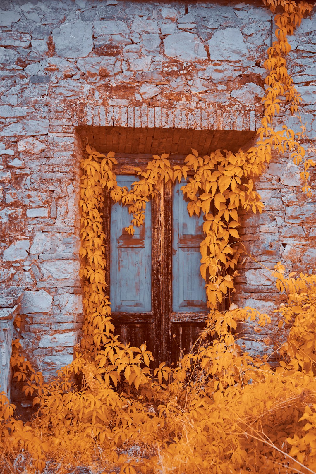 brown wooden door on brown brick wall