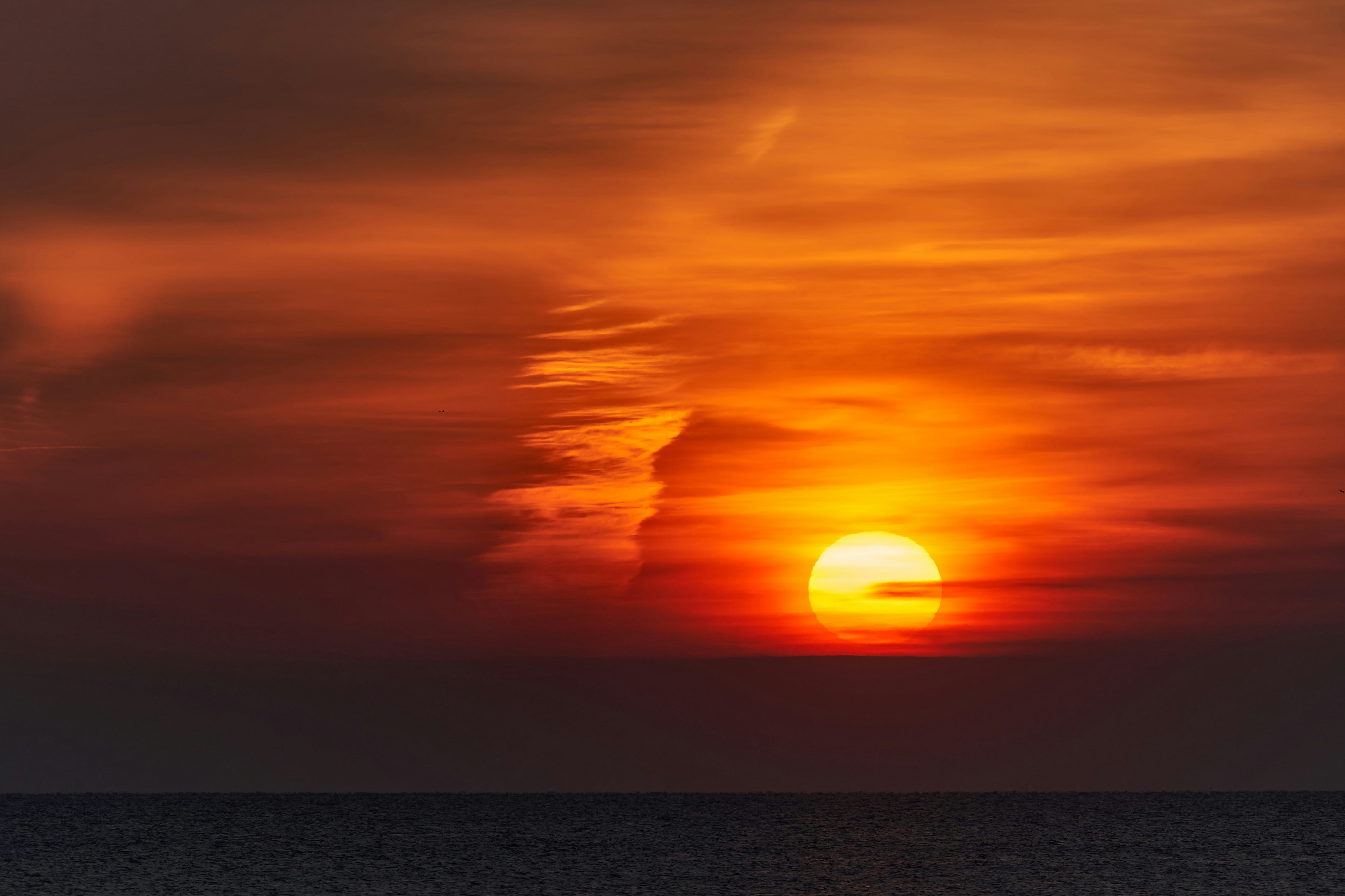 Photo by wolfgang_hasselmann