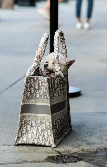 A soft cotton tote bag adorned with a whimsical pattern of various dog breeds playing together