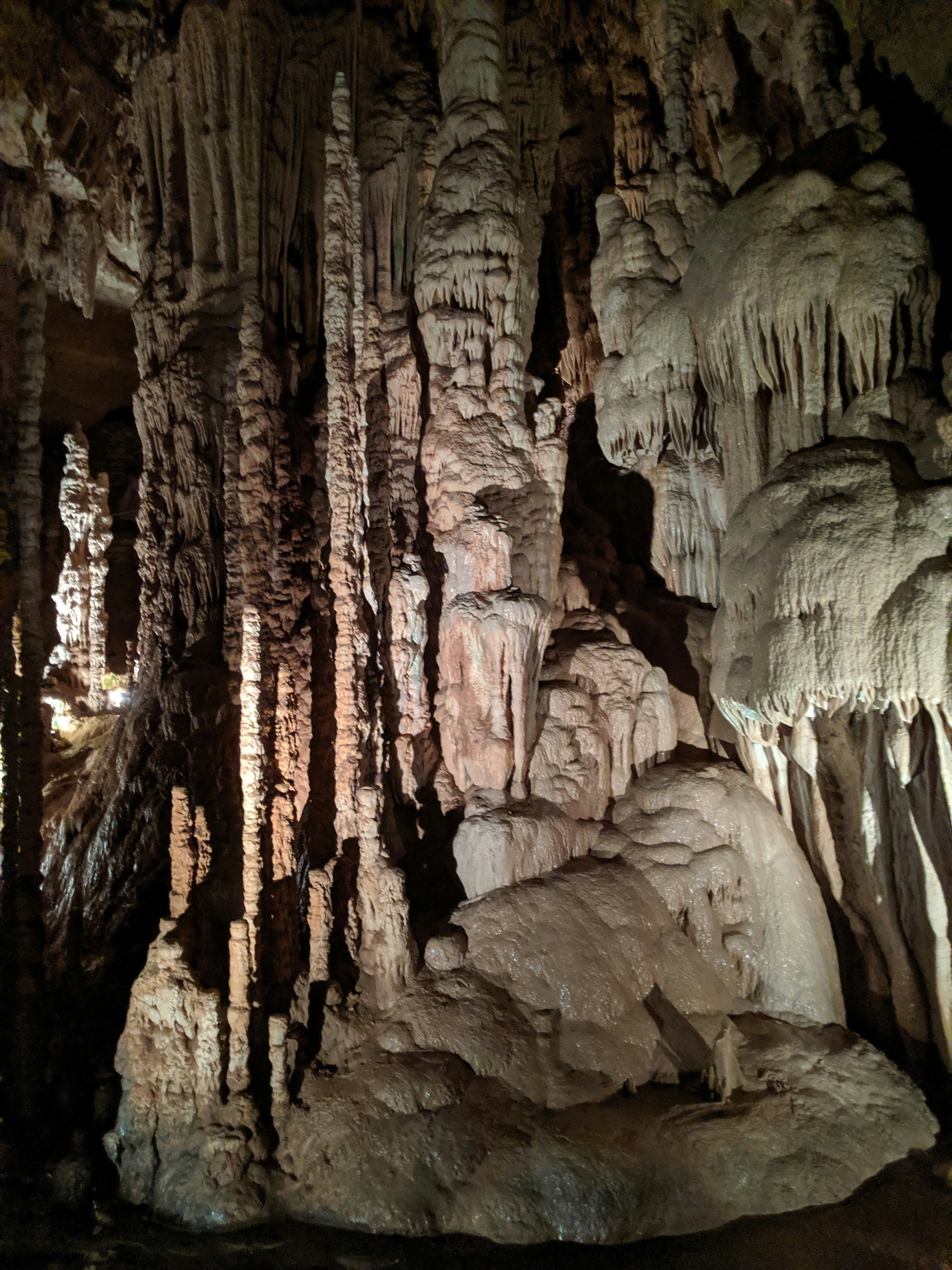 photo-1601835904001-c8a3330f68c9?q=80&w=1335&auto=format&fit=crop&ixlib=rb-4.0.3&ixid=M3wxMjA3fDB8MHxwaG90by1wYWdlfHx8fGVufDB8fHx8fA%3D%3D