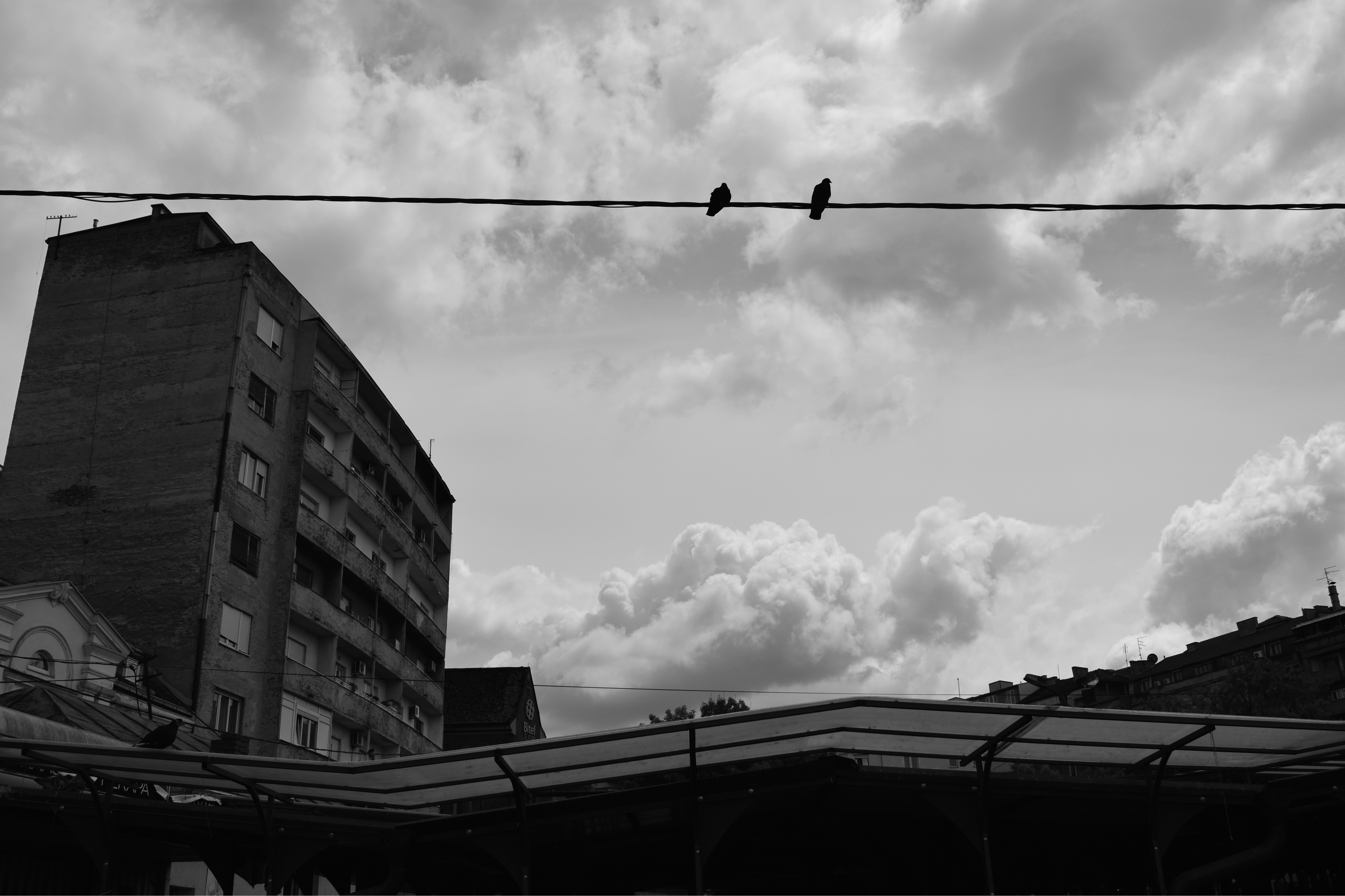 Photo by simplicity