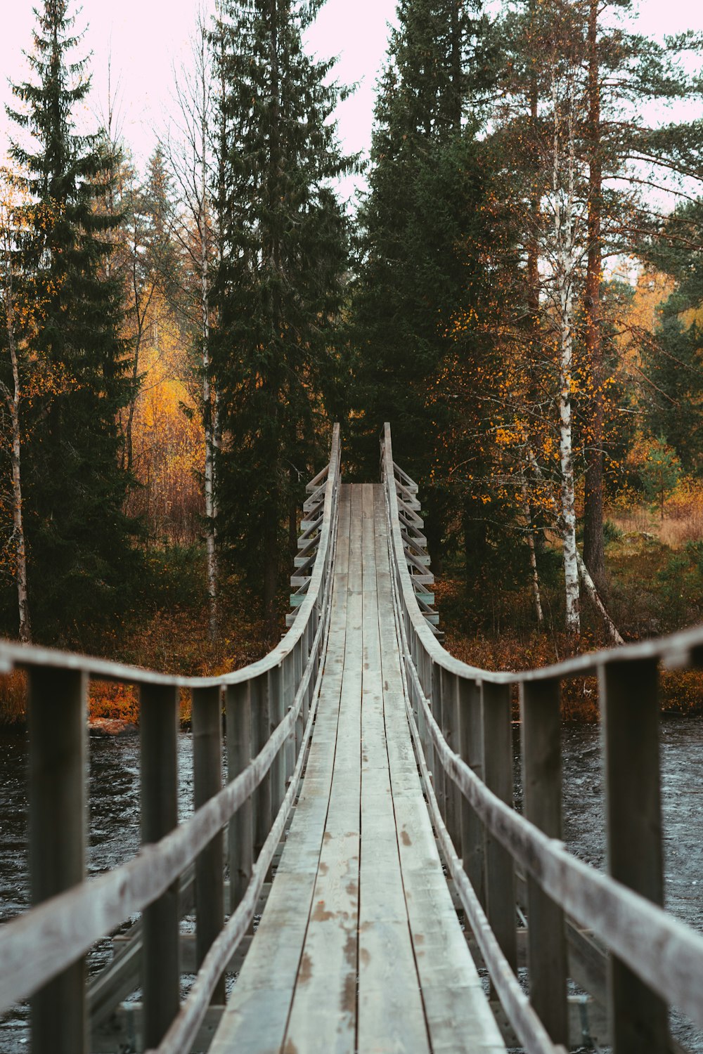 brown wooden bridge in the woods