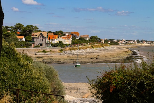 brown and white concrete buildings near body of water under blue sky during daytime in Saint-Palais-sur-Mer France