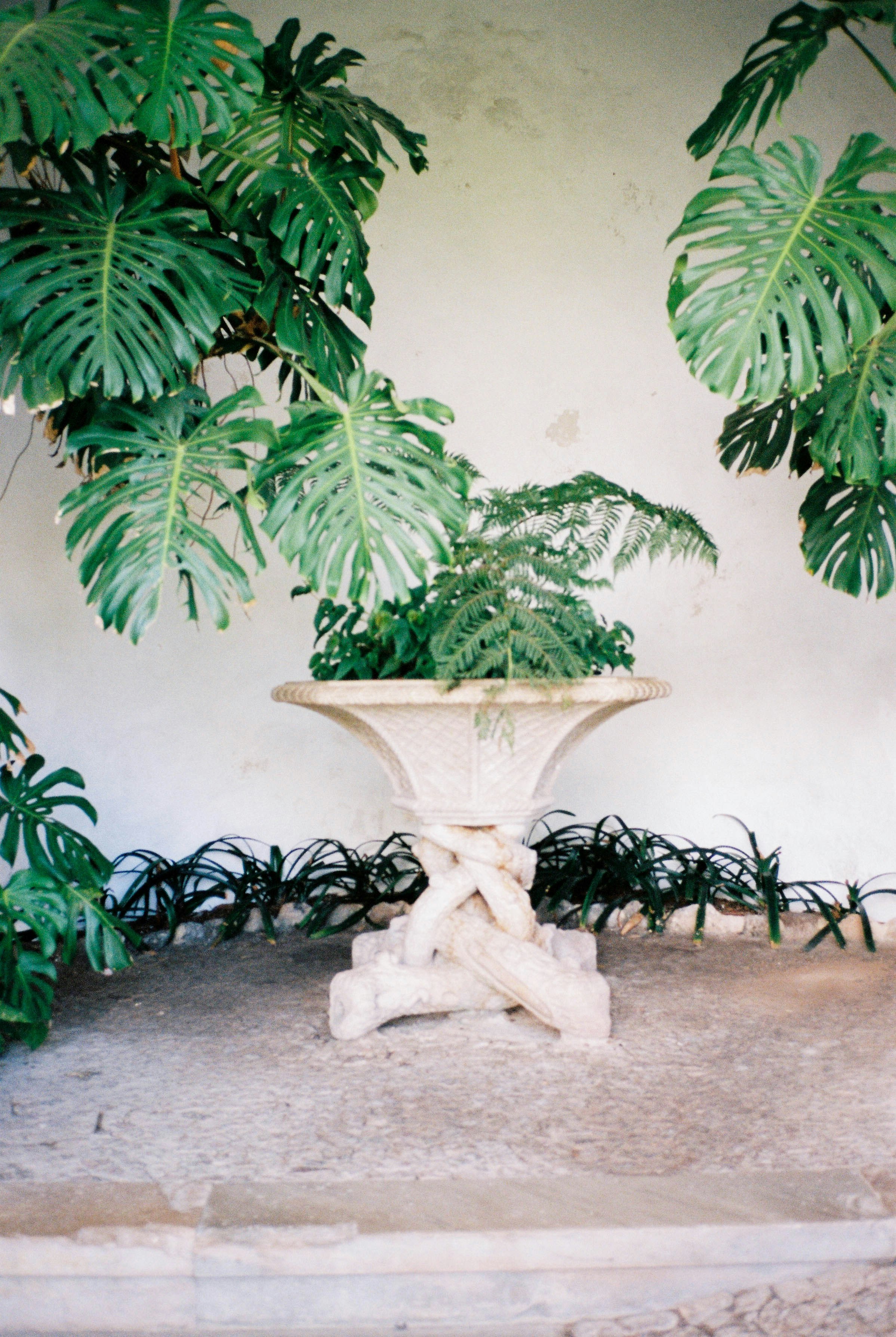 Photo by pelayoarbues