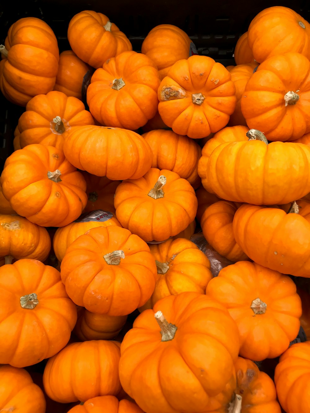 orange pumpkins on brown wooden table