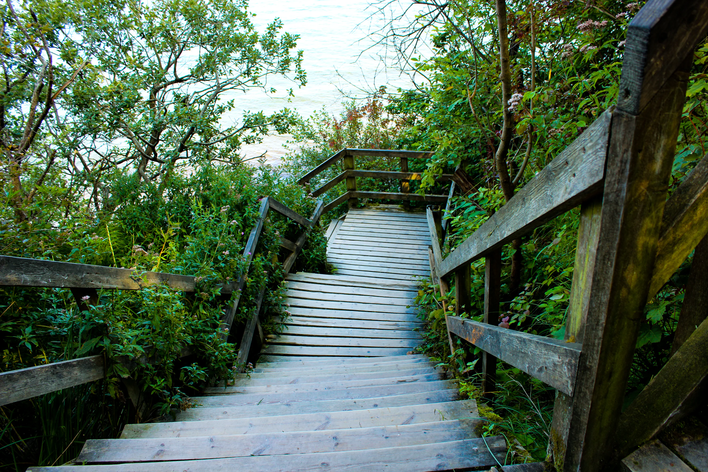 brown wooden bridge over river