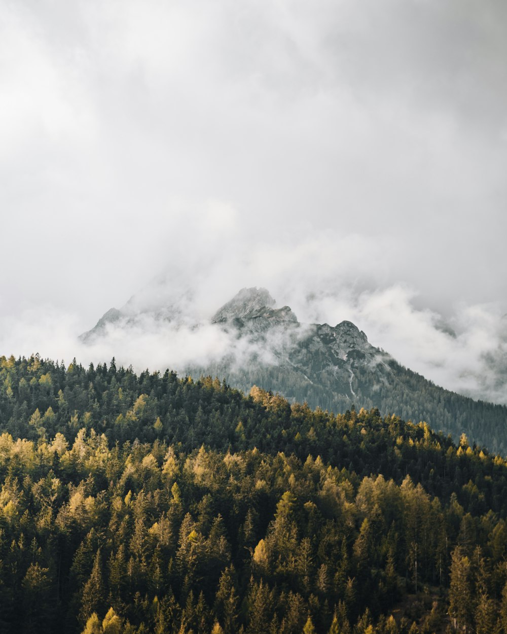 green trees near mountain under white clouds during daytime