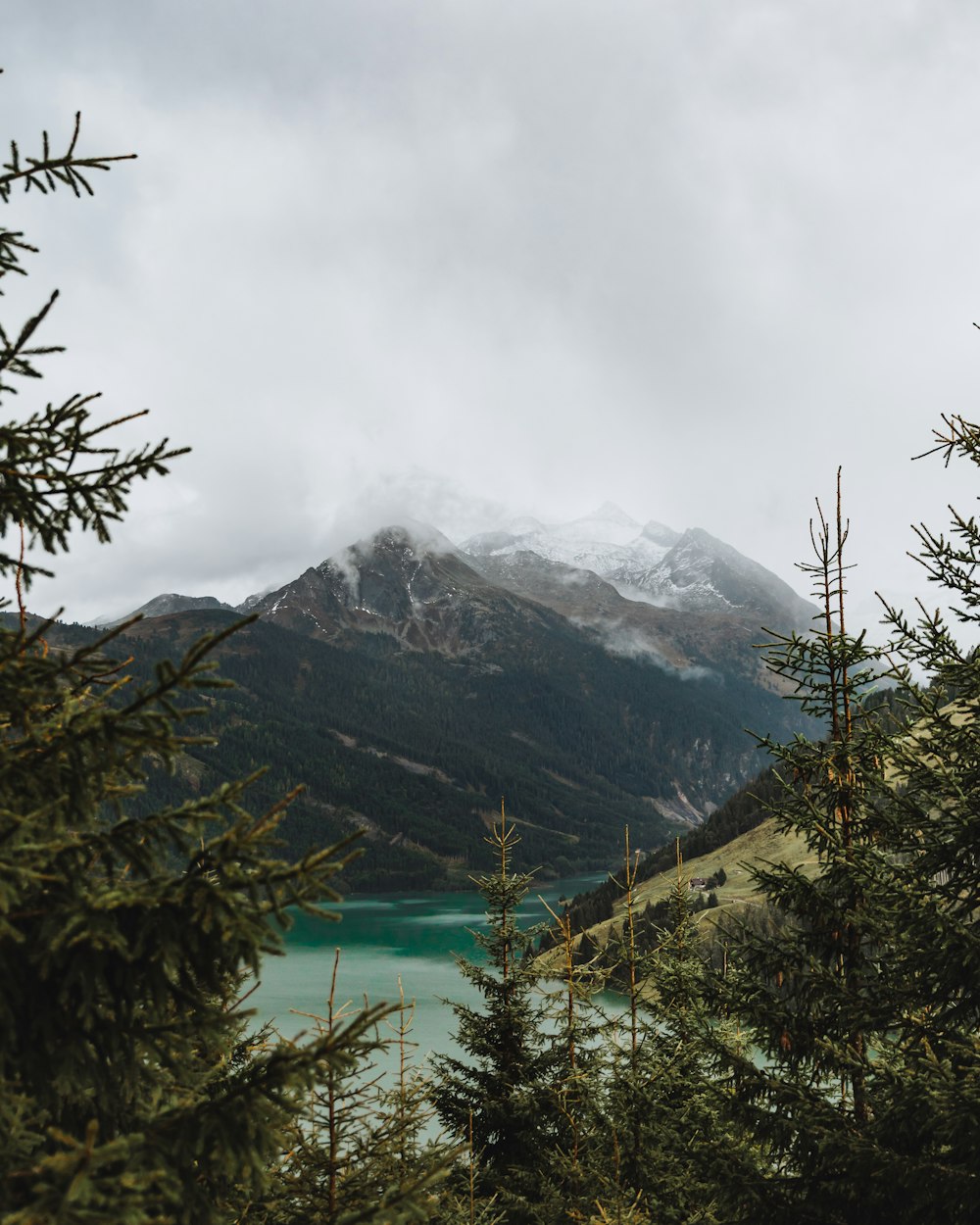 green trees near lake and mountain under white clouds during daytime