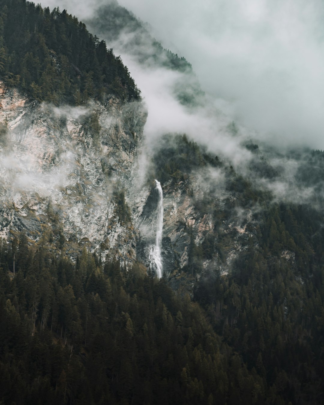 green trees on mountain under white clouds during daytime