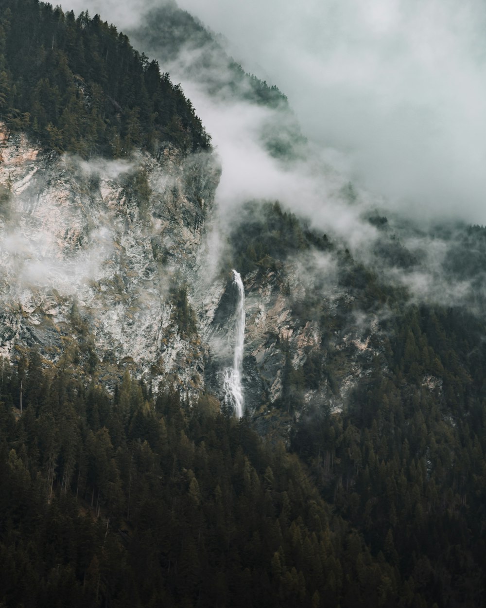 green trees on mountain under white clouds during daytime