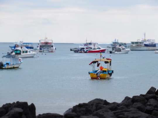 yellow and white boat on sea during daytime in Galapagos Islands Ecuador