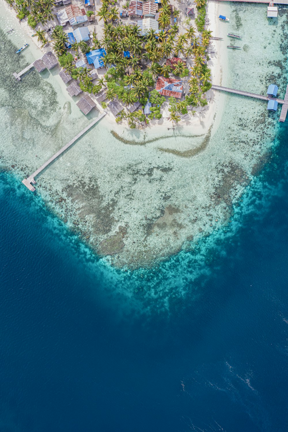 Veduta aerea degli alberi verdi accanto allo specchio d'acqua blu durante il giorno