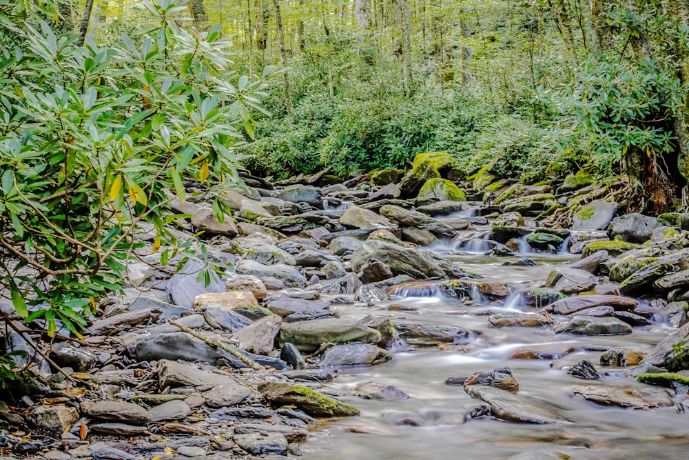 gray rocks on river during daytime